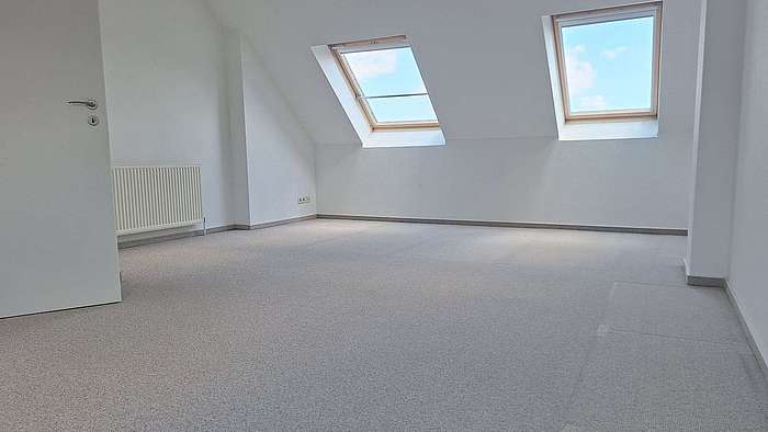 Zimmer DG
