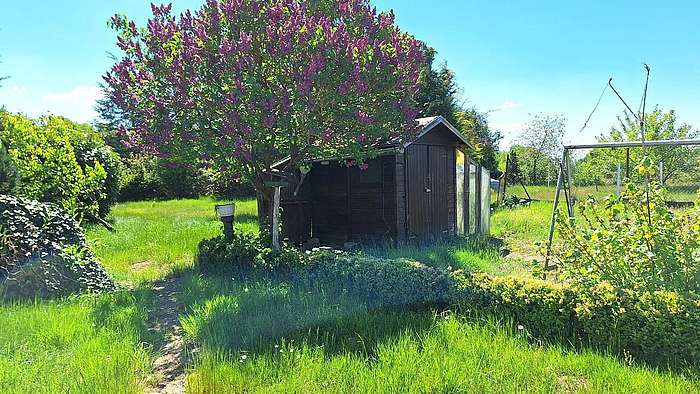 Garten