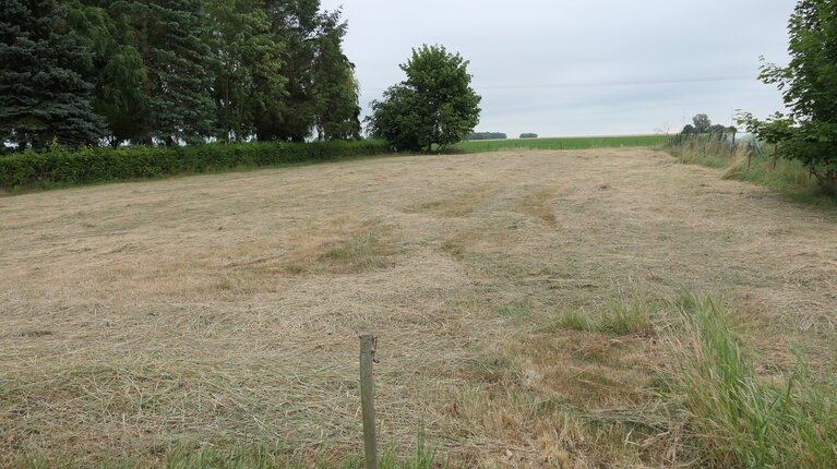 Grundstück in Klein Zastrow
