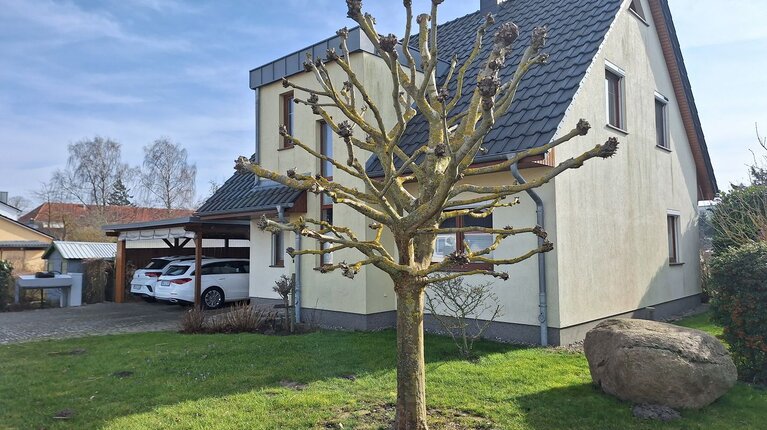 Einfamilienhaus in Greifswald