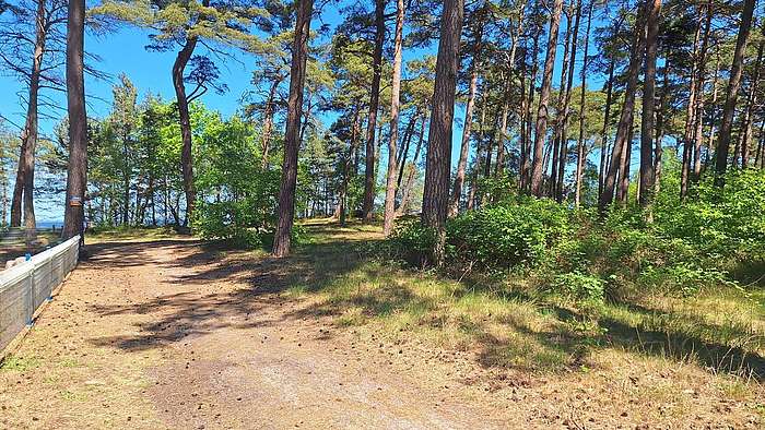 Weg zum Strand