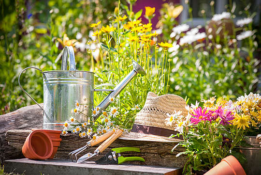 Wohnung mit Garten in Greifswald