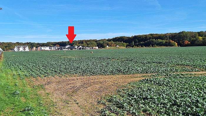 Weitblick über Feld