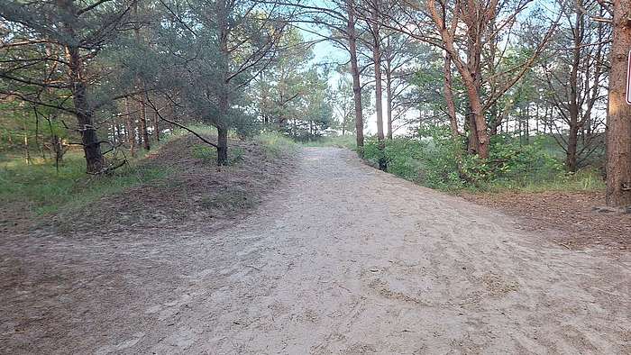 Weg zum Strand durch Küstenwald