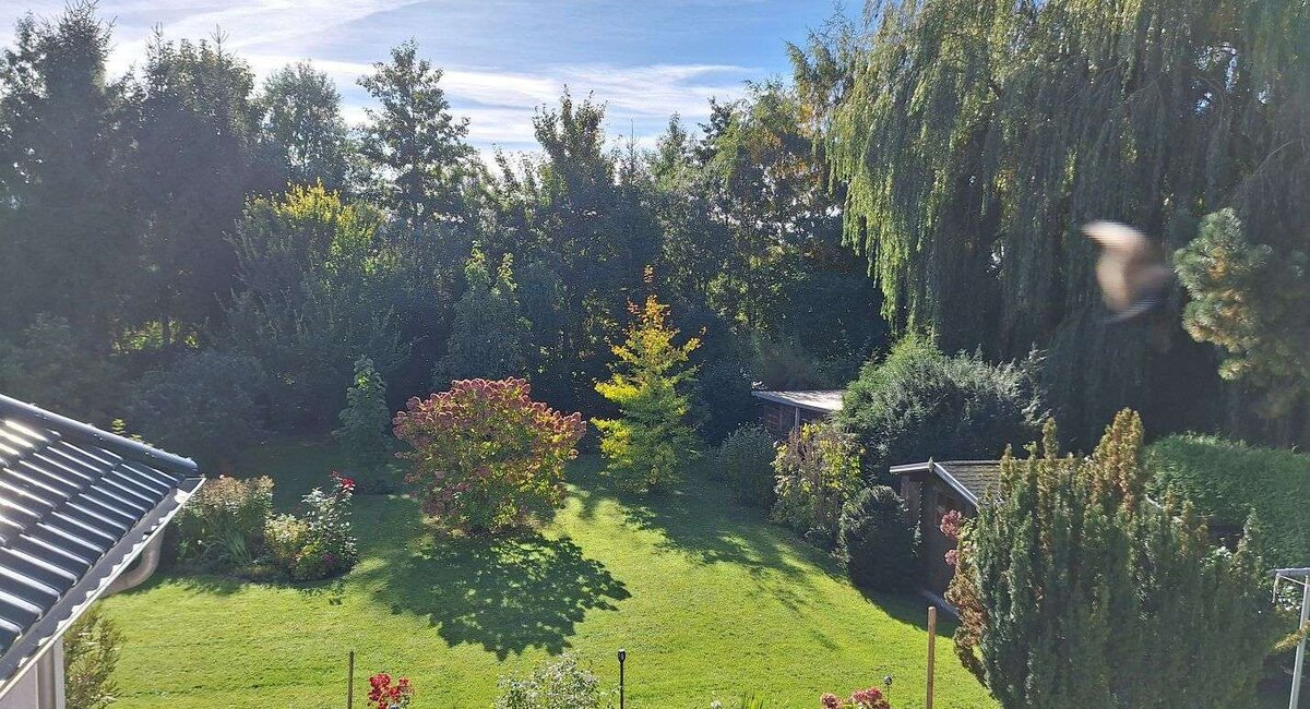 Ausblick Grundstück