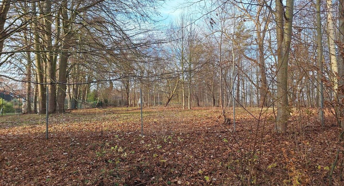Grundstück