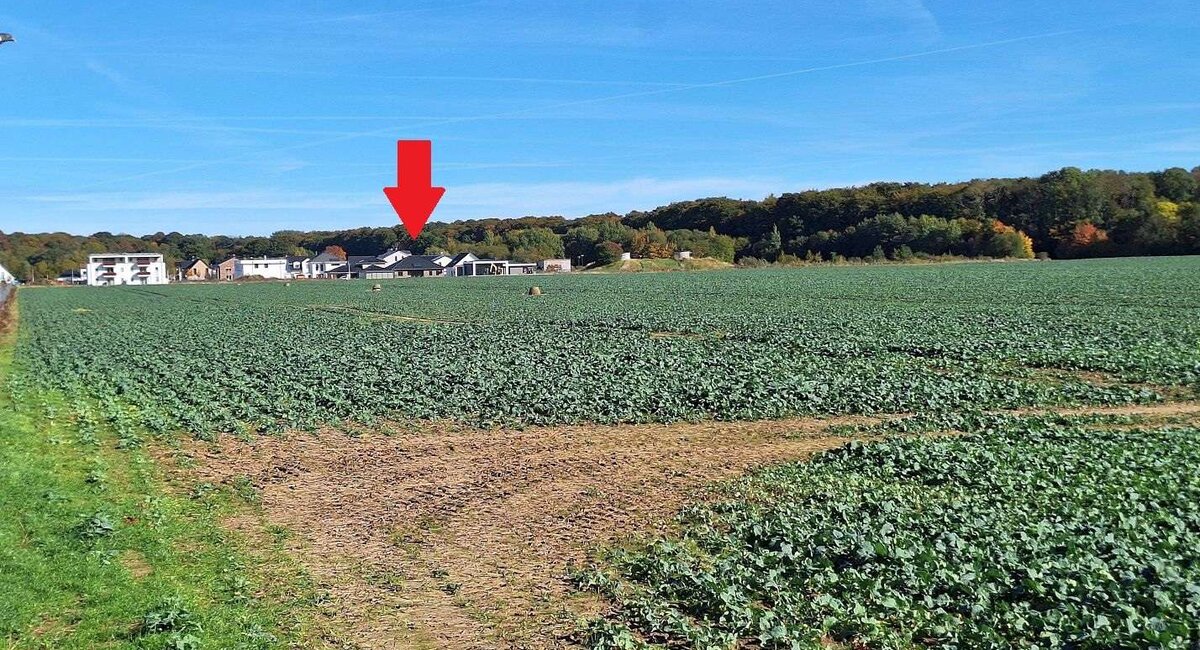 Weitblick über Feld
