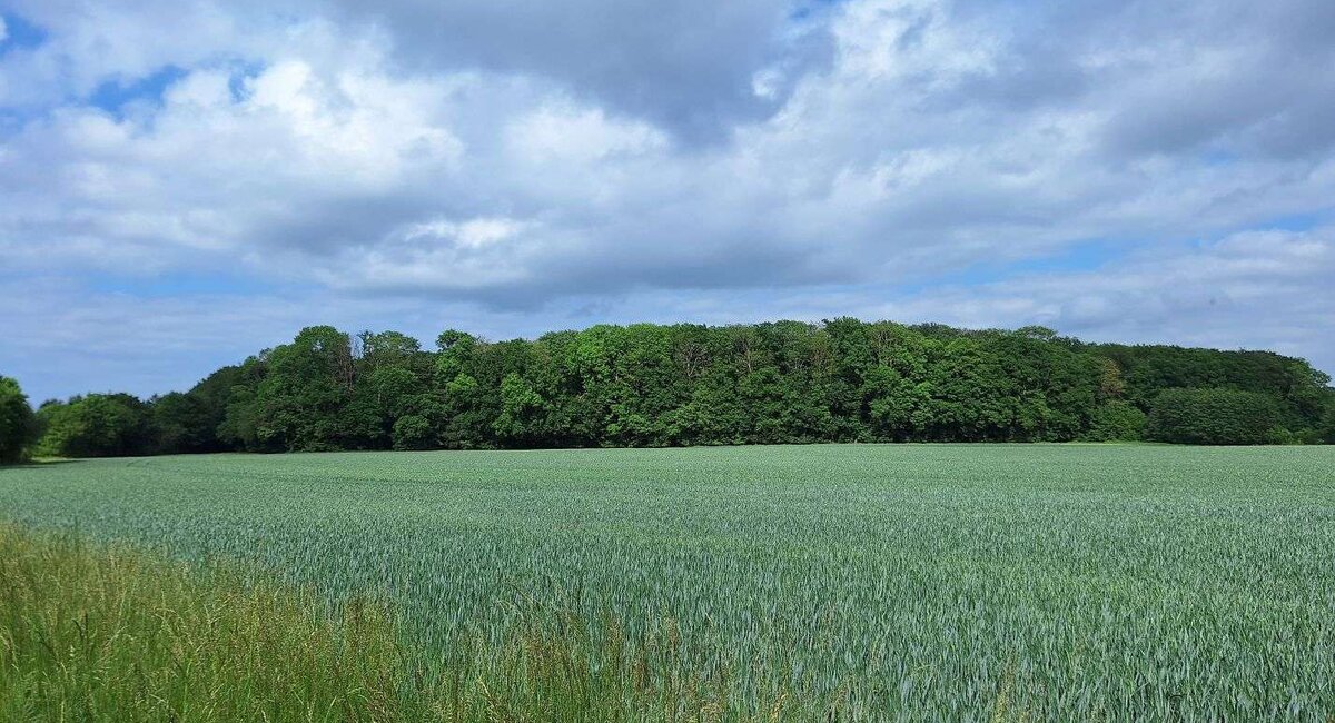 Ansicht