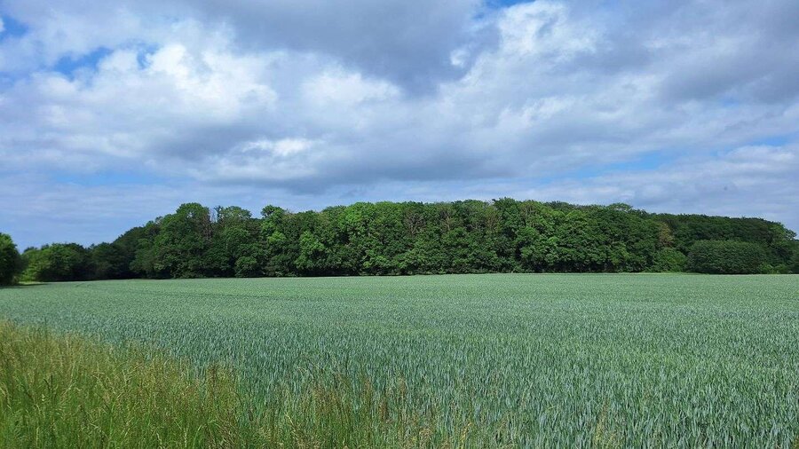Ansicht